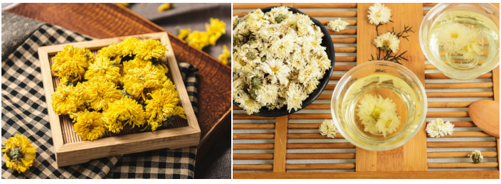 四大懷藥-懷菊花